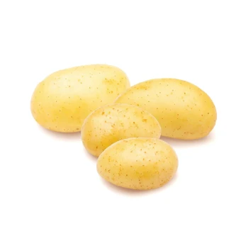 Potato white pakisthan